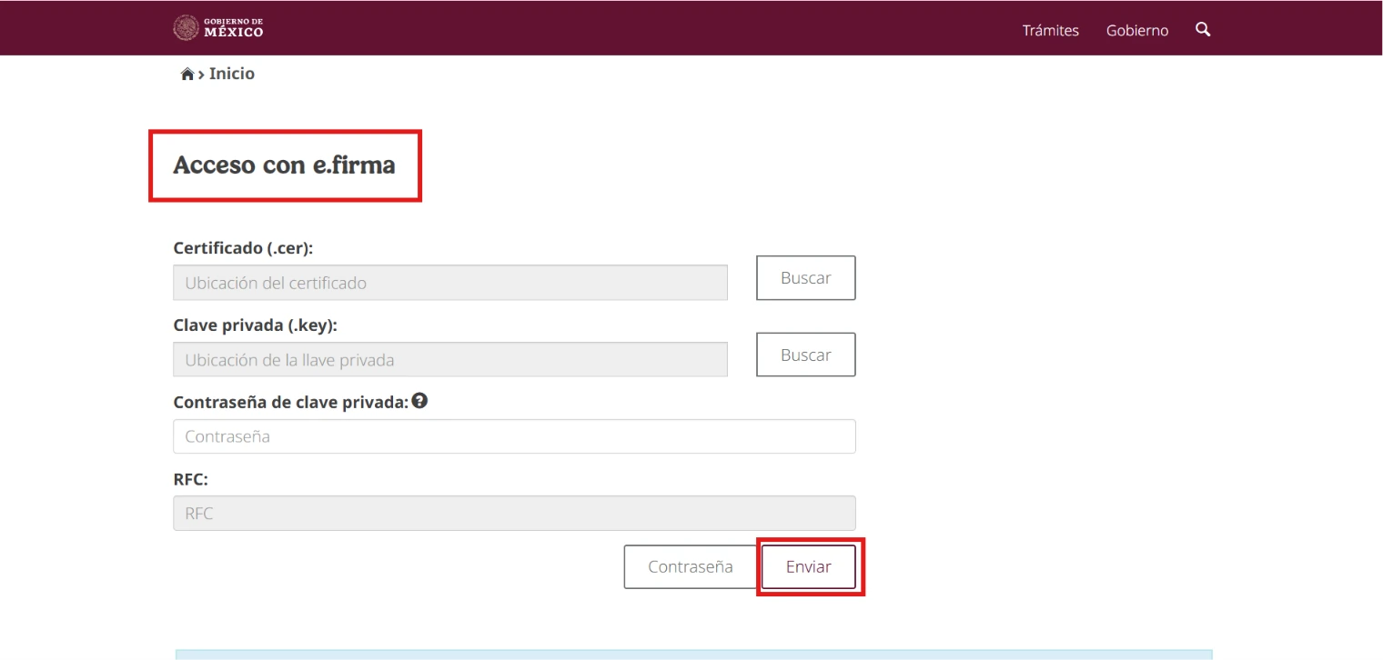 Log in with your e.firma